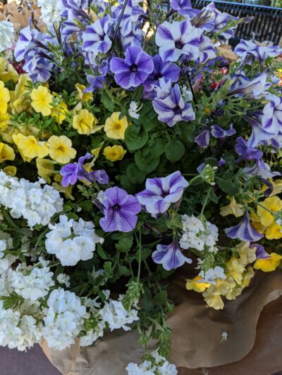 Assorted white, purple, and yellow flowers in a basket