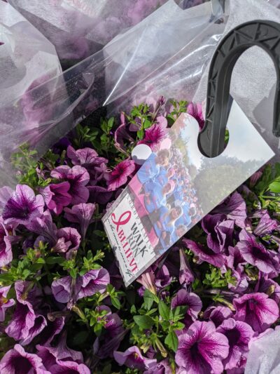 purple flowers in a basket with a walk for the cause pamphlet